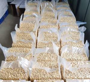 เม็ดมะม่วงหิมพานต์เบลเยี่ยมไขมันต่ำออร์แกนิก W320 w240เพื่อสุขภาพ - Product Image 3