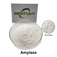 Poudre d'enzyme Amylase de qualité alimentaire 200000 U/g pour la boulangerie et la brasserie