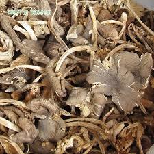 Champignon de termite séché naturel de qualité supérieure pour la vente en gros prix bon marché - Product Image 3
