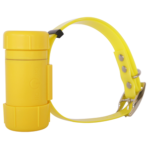 Nouveau modèle 2024 Collier bippeur pour chien imperméable Chasseur de chiens bippeur Hunter 2000 - Product Image 3