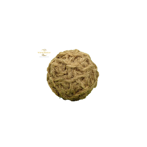 Balle à mâcher pour chien écologique en bois de coco et de café, jouet en fibre grossière - Product Image 4