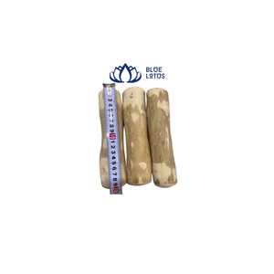GRANDE QUANTITÉ FRIANDISE EN BOIS DE HAUTE QUALITÉ POUR ANIMAUX DE COMPAGNIE BOIS DE CAFÉ CHEW PETS JOUET TREAT JOUET POUR CHIENS DE BLEU LOTUS VIETNAM - Product Image 1
