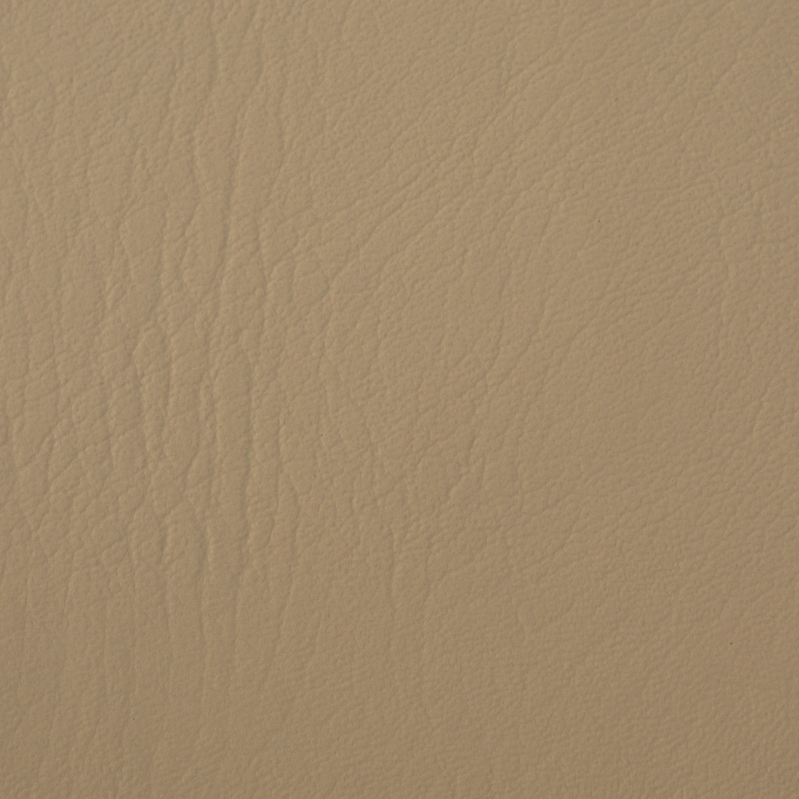 SABLE 06