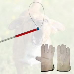 Poteau de Contrainte Professionnel en Acier Inoxydable pour Animaux à Bas Prix - Product Image 4