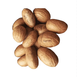 Noix de kola amère biologique à vendre à bon prix au meilleur prix - Product Image 4