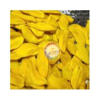 Vietnam Natuurlijke Zachte Gedroogde Mango Chips Suikervrij Goede Smaak Tropisch Fruit Fd Droogproces Bulkverpakking Groothandel