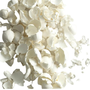 Proveedor Mayorista de Indigo Organics, Polvo de Cáscara de Huevo Seca Natural Orgánica de 2 mm, Rica en Calcio, en Gránulos para Alimento Animal y Fertilizante - Product Image 1