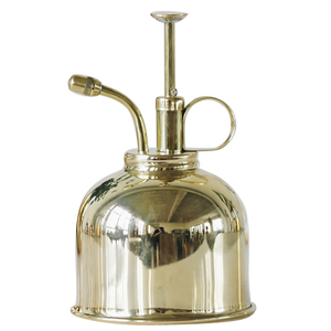 250ml Vintage RVS Plantenspuit |   Metalen sproeier voor binnenplanten en bevochtiging - Product Image 4