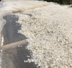 Suplemento especial de colágeno en polvo de escamas de pescado marino escamas de pescado seco de la mejor calidad y el mejor precio en Vietnam - Product Image 5