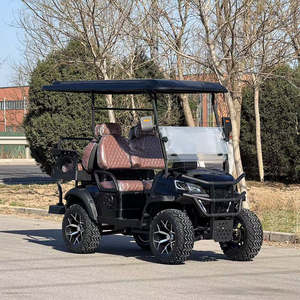 Carrito de golf de venta rápida con diseño de lujo y estructura de marco resistente - Product Image 3