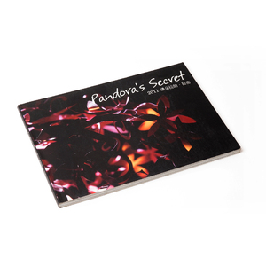 Magazine et catalogue à couverture rigide pour adultes sur mesure Manuels et bandes dessinées Brochure imprimée sur carton couché et papier d'art - Product Image 4