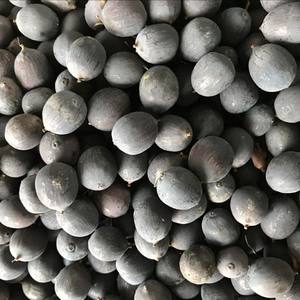 Best Price Superb Quality of Natural Frozen Natural Lotus <b>Nut</b> - Product Image 1