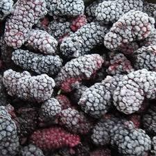 Moras Secas 100% Naturales de Primera Calidad a Granel con 12% de Humedad, Listas para Comer, 18 Meses de Duración, para Venta al por Mayor - Product Image 5