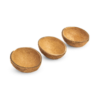 Fournisseur de bols en coquille de noix de coco brute ovale de 150 ml, bols en coquille de noix de coco non polis pour servir, mangeoire pour oiseaux, vente en gros en provenance du Vietnam