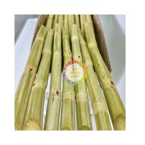 Caña de azúcar congelada de alta calidad al mejor precio de Vietnam para hacer jugo, precio barato de Vietnam, jugo de caña de azúcar frío congelado - Product Image 3