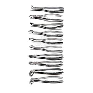 Instrumentos dentales, fórceps de extracción reutilizables, fórceps de extracción de alta calidad de acero inoxidable fabricados en Pakistán - Product Image 2