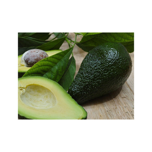 Avocats frais de haute qualité Meilleur prix offert - Product Image 3