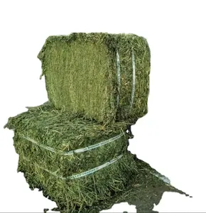 Купить сено из органической люцерны в нидерландских землях/гранулы для сена люцерны для корма для животных для продажи оптом в Румынии