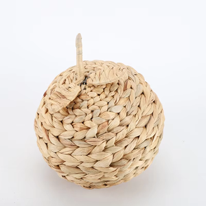 Jacinthe d'eau orange décor à la maison fabriqué au Vietnam matériau écologique utilisé pour la décoration de la maison ornements en gros - Product Image 5