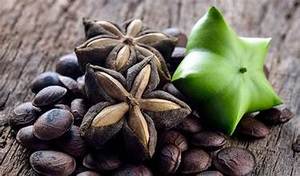 ACEITE PREMIUM SACHA INCHI PRENSADO EN FRÍO SALUD INMUNE FORMULA DE PLANTAS LIMPIAS - Product Image 5