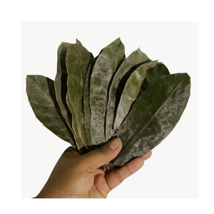 Feuilles de corossol séchées du Vietnam, idéales pour les infusions quotidiennes, distribution en gros et approvisionnement mondial de produits de boissons - Product Image 1
