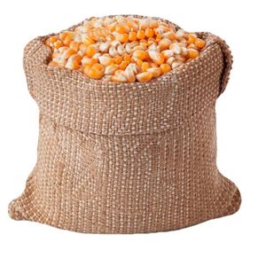 Grain de maïs jaune de qualité supérieure nettoyé, séché et emballé pour l'exportation - Product Image 5