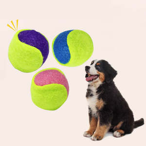 Balle d'entraînement élastique en peluche pour chiens Bounce Pet Cartoon - Jouet interactif d'extérieur durable et écologique - Product Image 4