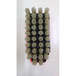 24 Grit Diamond <b>Abrasive</b> Brush for Lapatro Finish - Product Image 1