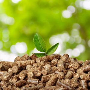 Pellets de Madera de Pino de Alta Eficiencia para Estufas, Calidad Garantizada, Precio Competitivo por Tonelada, ¡En Stock Ahora! a Precio de Mayoreo - Product Image 2