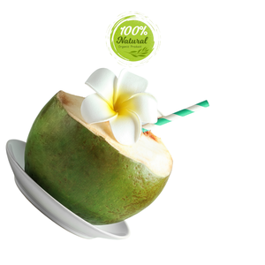 มะพร้าวเวียดนาม-หวานและกรอบตามธรรมชาติ - Product Image 5