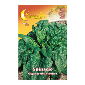 Spinaci Giganti Semi Biologici - Product Image 1
