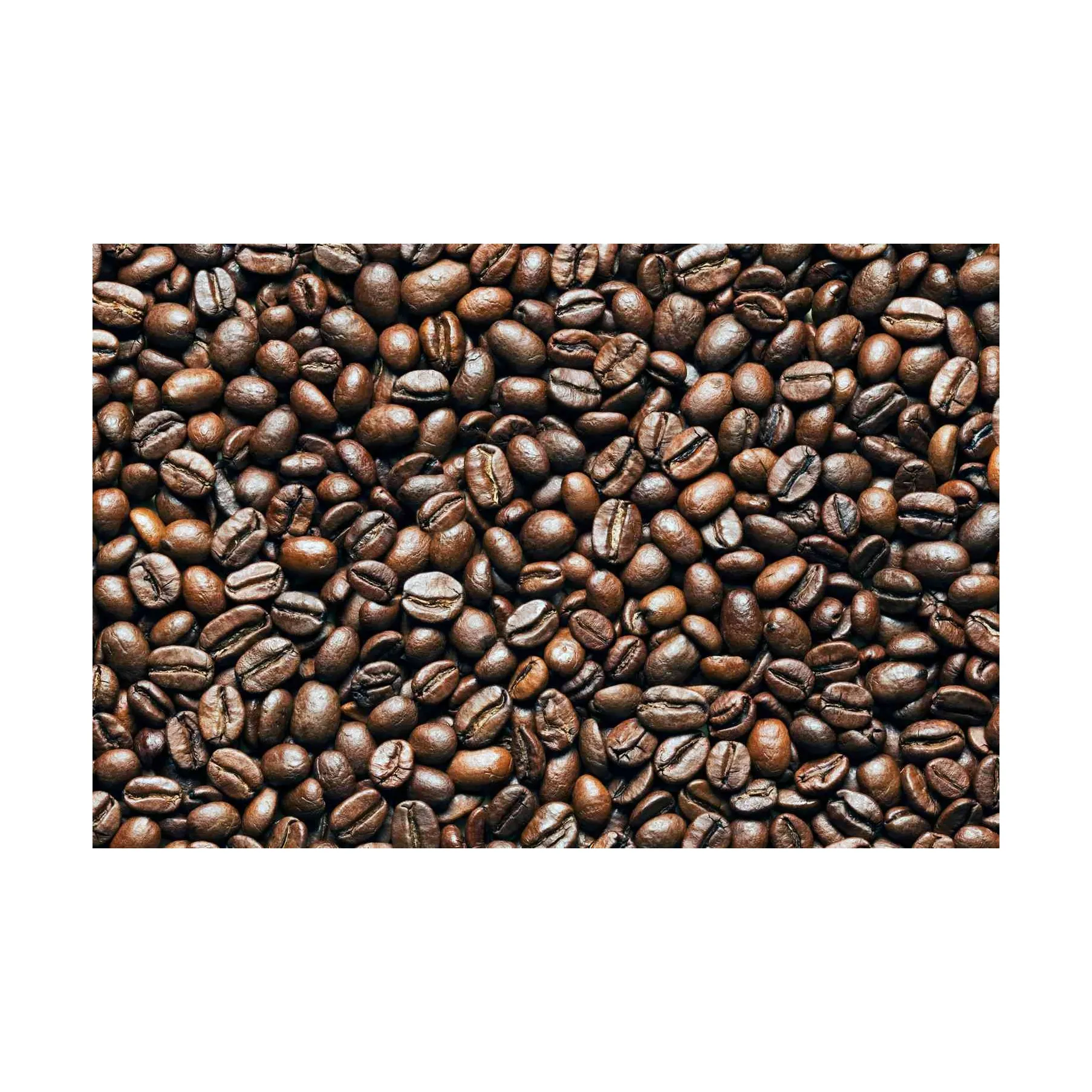 Raw Arabica Bugisu Supremo Colombian Coffee 1 KG Coffee Beans 3 in 1 Coffee and Milk Tea Drinking Directly