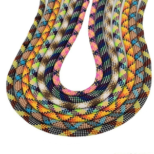 Toptan moda dayanıklı Polyester 8mm 10mm PP kalın halat köpek tasma örgülü halat için evcil hayvan tasması çanta kolu - Product Image 5