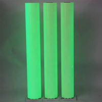 Color luminoso luminiscente que brilla en la oscuridad, papel laminado de PVC, material de película de vinilo para señalización de seguridad