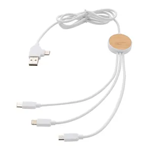 Gadget USB Promozionale Sostenibile 6-in-1 con Cavo Riciclato Ontario - Product Image 5