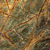 Dalles de marbre brun clair effet forêt tropicale moderne, diverses couleurs, surface polie, imperméable, pour décoration murale et de sol d'hôtel, fabriqué en Inde