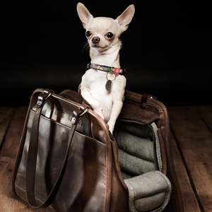 Bolsa de diseñador para perros, bolso de cuero clásico para mascotas, bolso de viaje, venta al por mayor, bolsas para perros - Product Image 1