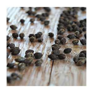 Gran oferta para semillas de papaya secas y materia prima agrícola limpia para uso industrial general, empaquetado a granel y listo para exportación - Product Image 1