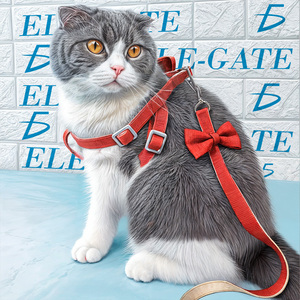 Guinzaglio per Piccoli Animali Domestici Kawaii in Nylon con Elegante Design a Fiocco - Product Image 1