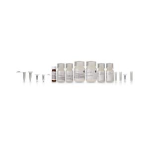 RNAspin Mini Kit con 50 Preps Soporte OEM personalizable - Product Image 1