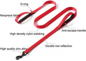 Correa Ajustable de Nailon con Diseño Floral para Perros, con Asa Acolchada, Estilo Simple, Resistente, para Perros Medianos y Grandes - Fábrica OEM/ODM - Product Image 3