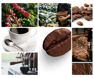 Mezcla de café instantáneo de sabor dulce 3 en 1 elaborada por expertos Arabica Robusta con sabor a crema liofilizado para distribuidores - Product Image 5