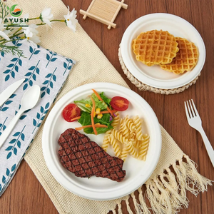 Assiettes en bagasse biodégradables fabriquées à partir de pulpe de canne à sucre pour les buffets, les fêtes, les restaurants et les plats à emporter - Product Image 2