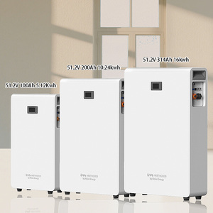 Batería de Litio para Energía <span class=keywords><strong>Solar</strong></span> Residencial de 51.2v, <span class=keywords><strong>5kwh</strong></span>, 10kwh, 16kwh, Ciclo de Batería Eléctrica de Litio de 100ah, 200ah, 314ah - Product Image 1