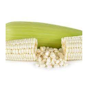 Maïs blanc NON OGM de qualité, vente en gros de haute qualité, nouveau meilleur matériel de fabricant avec des tarifs bon marché - Product Image 2