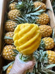 Tranches d'ananas surgelées VDELTA Direct Factory |   Origine du Vietnam - Product Image 3