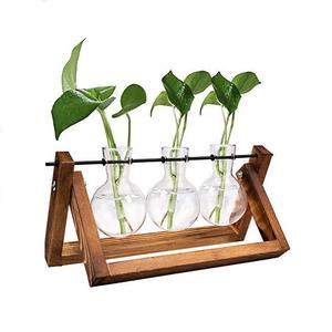 Hot Selling Glass Terrarium for Living Room or Dining Room Decoration Item Custom Shape Vase Container Glass Terrarium Use Item - Product Image 2