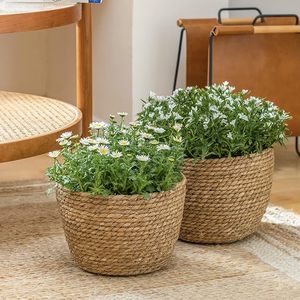 Best Selling Shape Seagrass Handwoven Natural Storage <b>Basket</b> Eco-friendly Handles <b>for</b> Gardening <b>Planting</b> Tree Water Hyacinth - Product Image 1