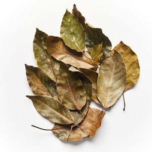 โฆษณาบริสุทธิ์ใบอะโวคาโดดิบแห้ง/เก็บเกี่ยวอย่างยั่งยืน/สมุนไพรหอมสำหรับชา - Product Image 2