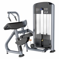 Máquina de Extensión de Tríceps a 45 Grados con Pesas, para Gimnasio, Uso Comercial, 2026
